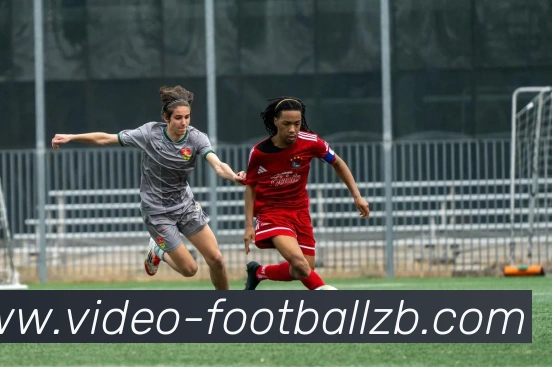 足球直播平台生态图